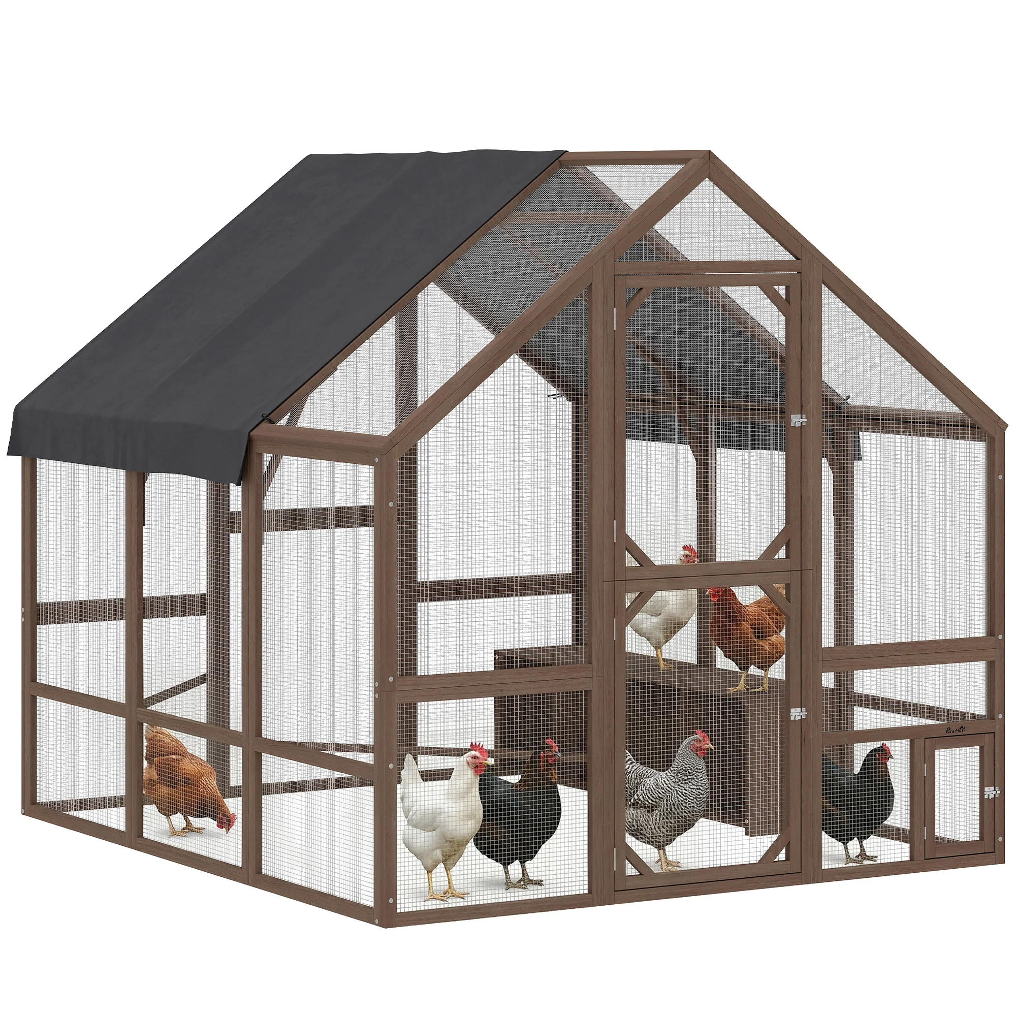 NEW ARRIVALS FOR YOUR BELOVED PETS